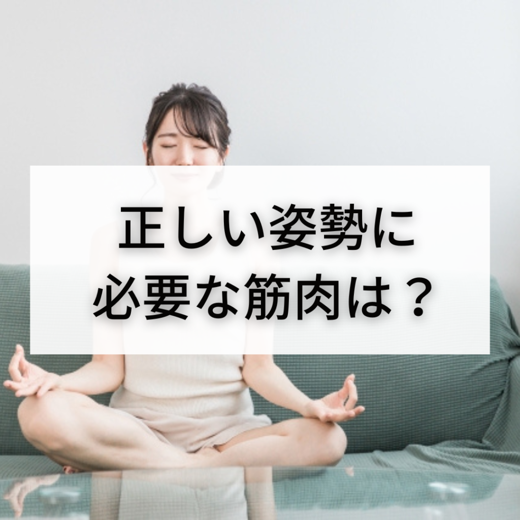正しい姿勢に必要な筋肉は？