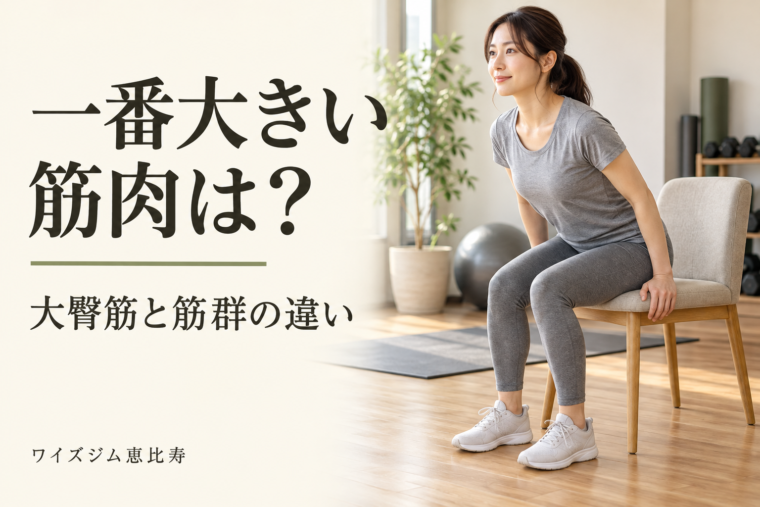 人体で一番大きい筋肉は?大臀筋と大腿四頭筋の違いを解説