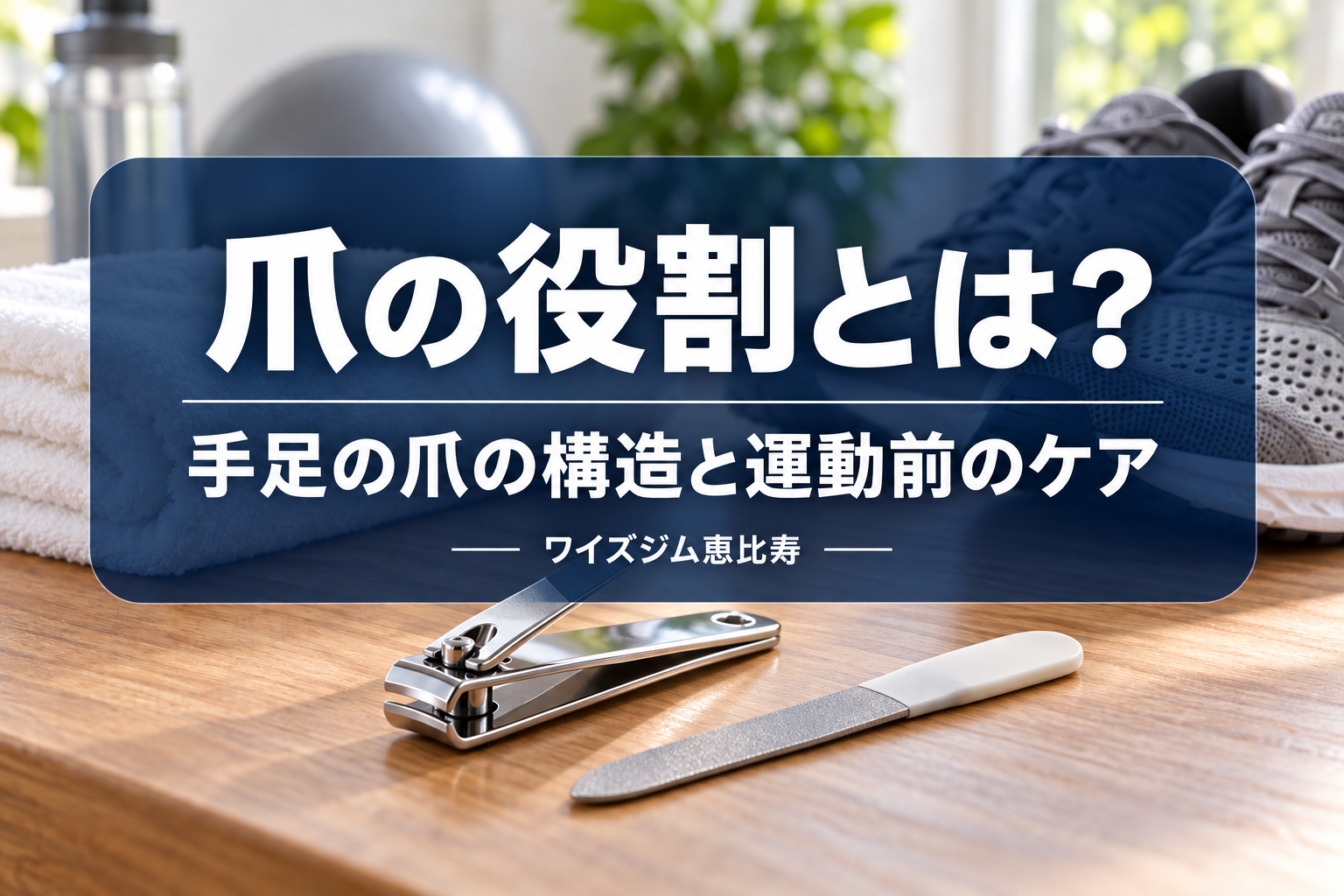 爪の役割とは?手足の爪の構造と運動前に確認したいケア