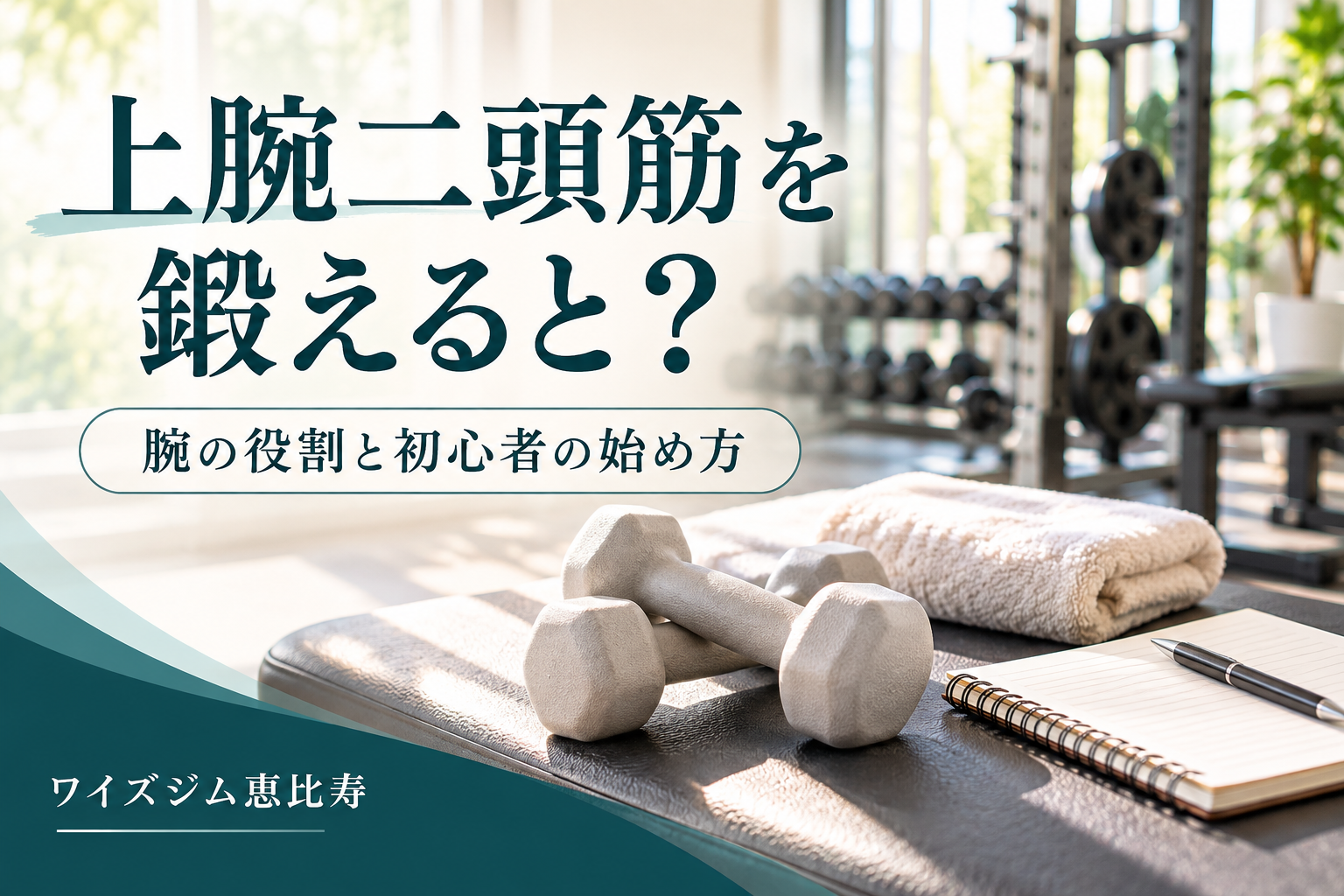 上腕二頭筋を鍛えると?腕の役割と初心者の始め方