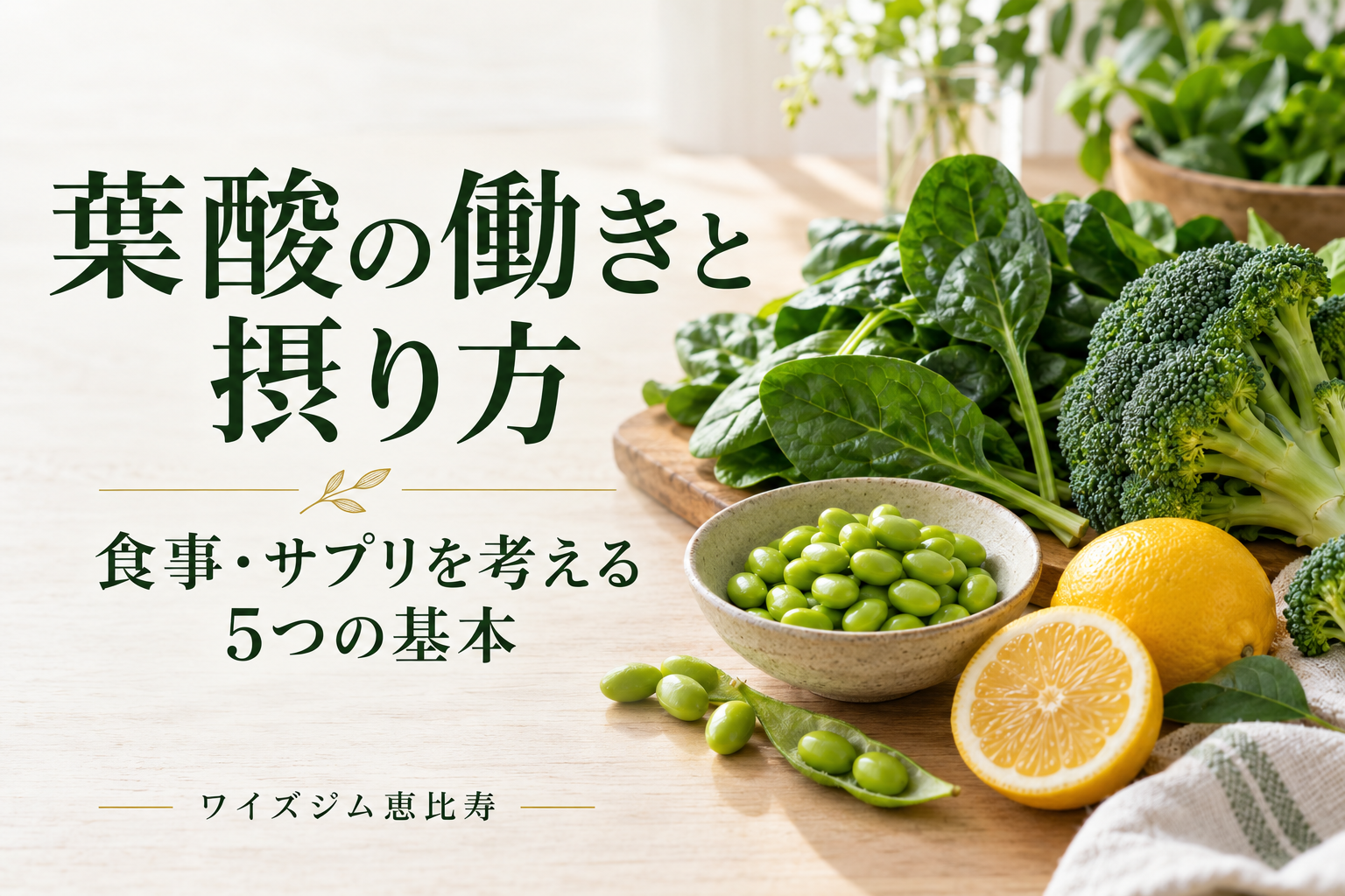 葉酸の働きと摂り方|食事・サプリを考える5つの基本