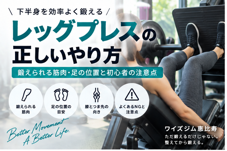 レッグプレスの正しいやり方|鍛えられる筋肉・足の位置と初心者の注意点