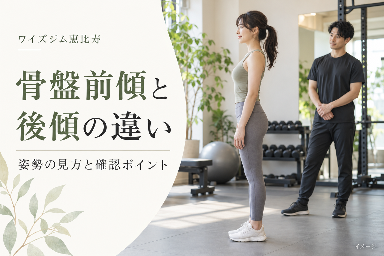 骨盤前傾と後傾の違いは？姿勢の見方と確認ポイント