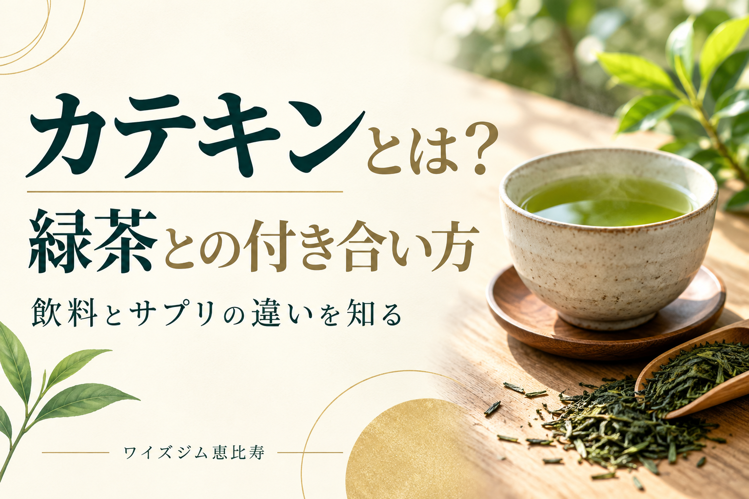 カテキンとは?緑茶の飲み方とサプリの違いを知る5つの基本