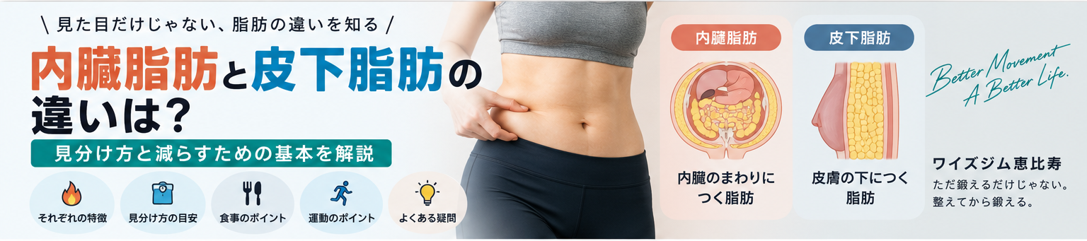 内臓脂肪と皮下脂肪の違いは？見分け方と減らす基本を解説