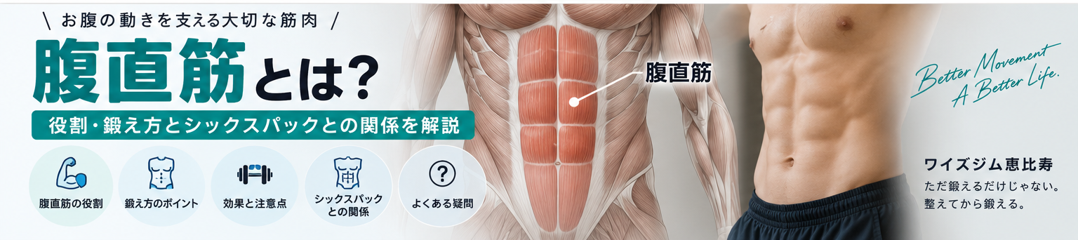 腹直筋とは？役割・鍛え方とシックスパックとの関係を解説